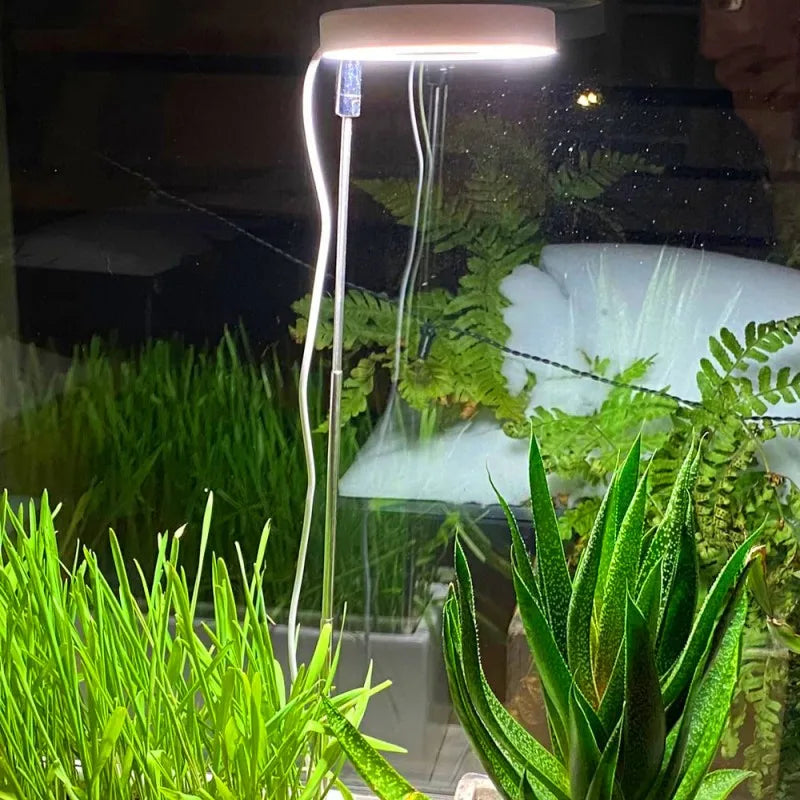 Full Spectrum Indoor Solar LED Growth Light. ضوء للنبات على شكل حلقة للتعويض عن نقص الإضاءة الطبيعية