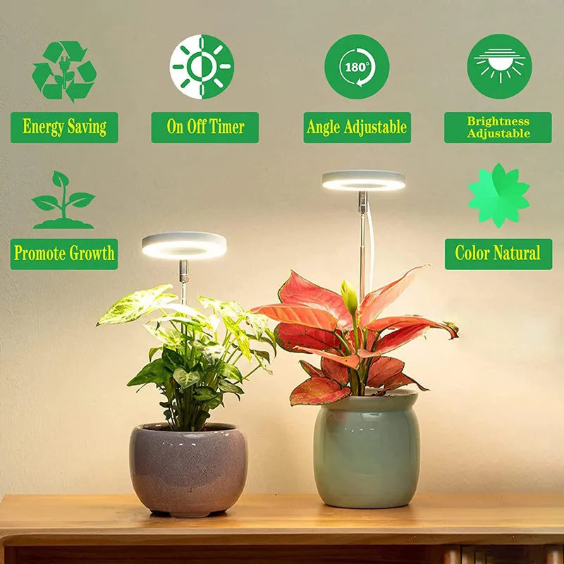 Full Spectrum Indoor Solar LED Growth Light, Four Gear Dimming, Fleshy Viridiplantae, Flower Floor Telescopic Fill Light