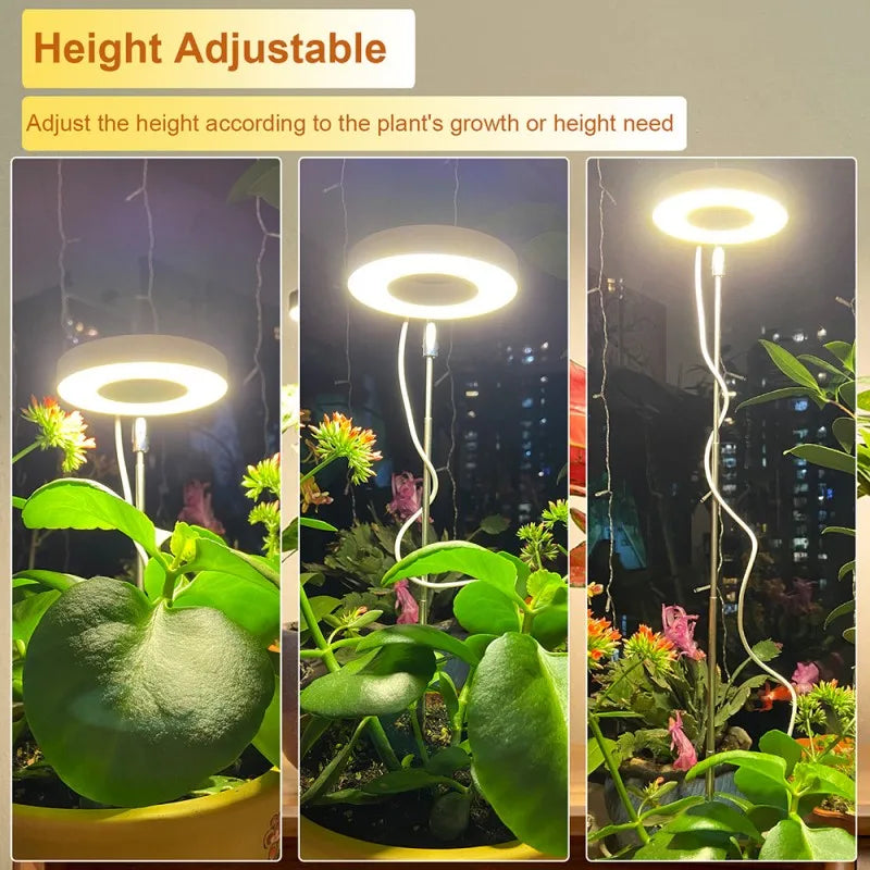 Full Spectrum Indoor Solar LED Growth Light. ضوء للنبات على شكل حلقة للتعويض عن نقص الإضاءة الطبيعية